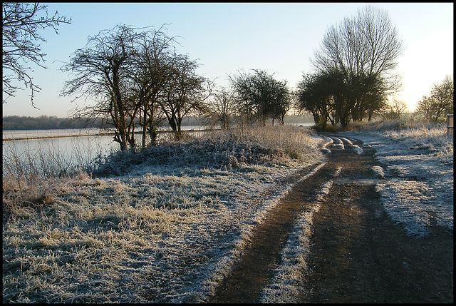 Thames Path in the frost