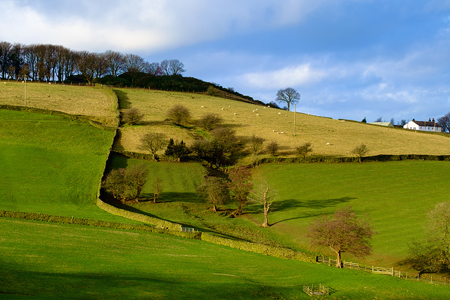 Brownhill Farm