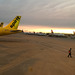 Love L.A.