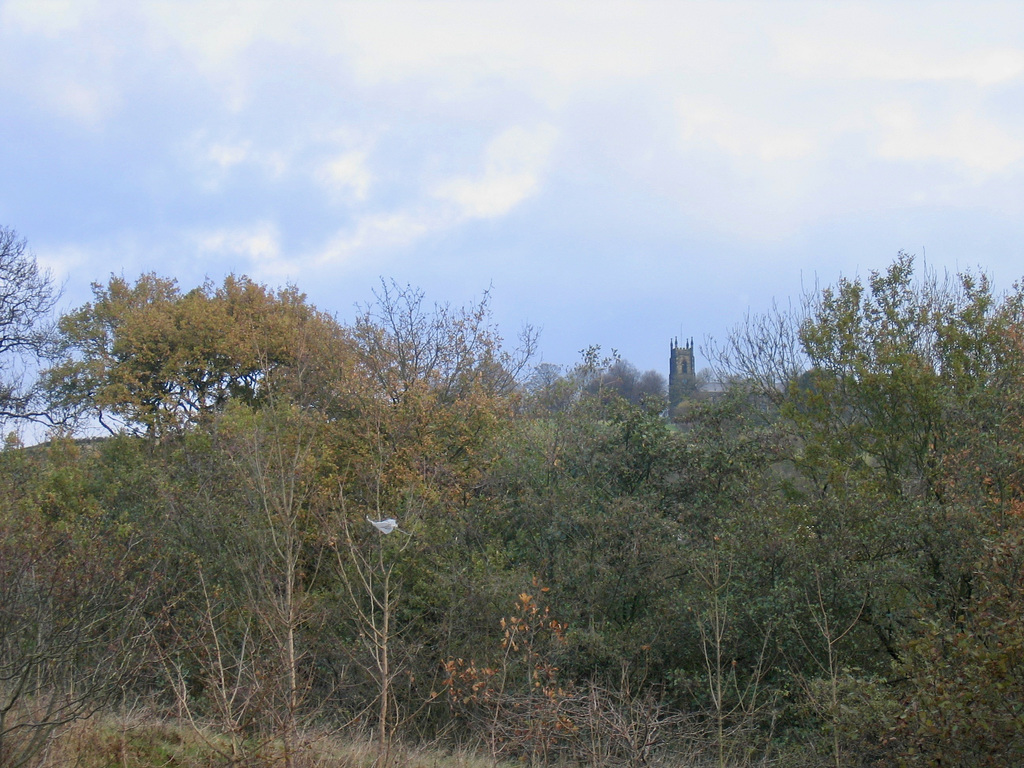 The Church of St Andrew at Netherton from the Path leading up to the Dudley No.2 Canal