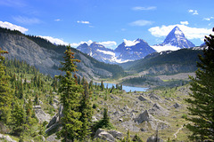 Og Lake and Mount Assiniboine Og Lake and Mount Assiniboine