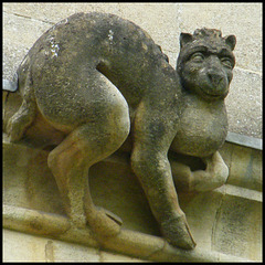 St John's College grotesque