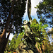 brookwood cemetery, surrey