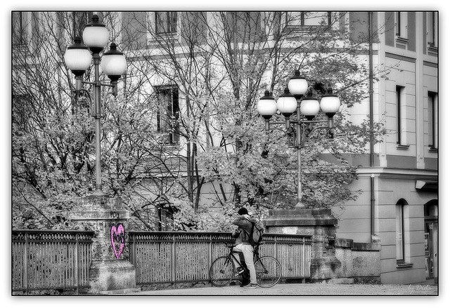 ❤ Heartily Fence Friday ❤