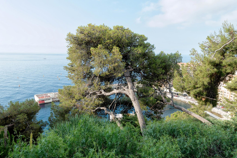 MONACO: Visite de la Principauté 16