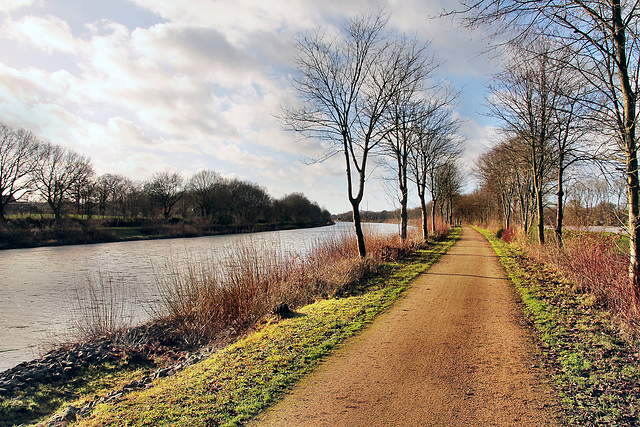 Weg am Wesel-Datteln-Kanal (Haltern-Bossendorf) / 26.12.2023