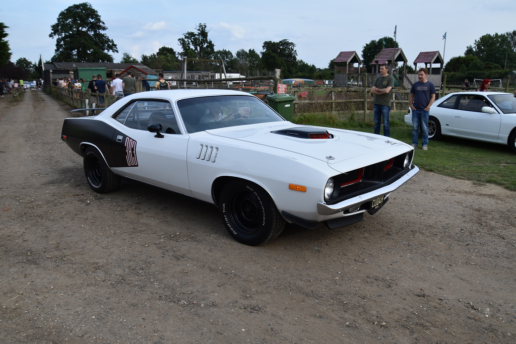 phpcfafsjul172024 (1073)