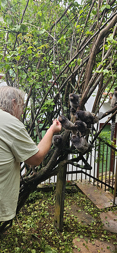 Feeding Frenzy