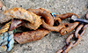 Rust and Rope 2