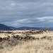 Lava Beds Natl Mon Capt Jacks (Modoc War) Stronghold, CA (1006)