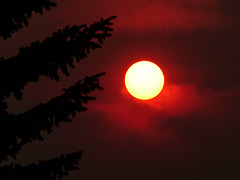 An early morning, smoky sun