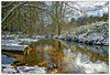 Winter reflections on the Derwent - North Yorkshire