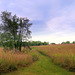 True, natural prairie, protected.