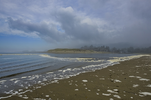 Froth of Ecola Estuary