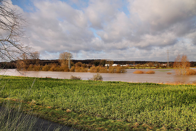 Blick zur Lippe (Haltern am See) / 26.12.2023