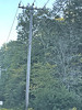 WMECo 22.9/13.2kV Y pole