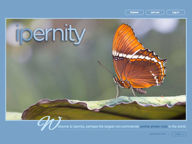 Ipernity Homepage since 2020