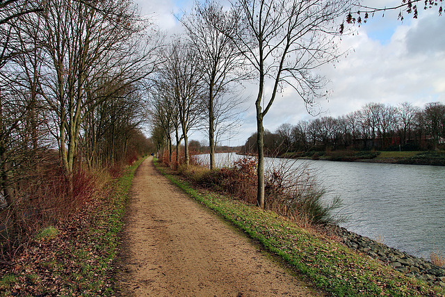 Weg am Wesel-Datteln-Kanal (Haltern am See) / 26.12.2023