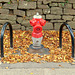 Hydrant bei der Königsburg