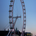 LondonEye-1