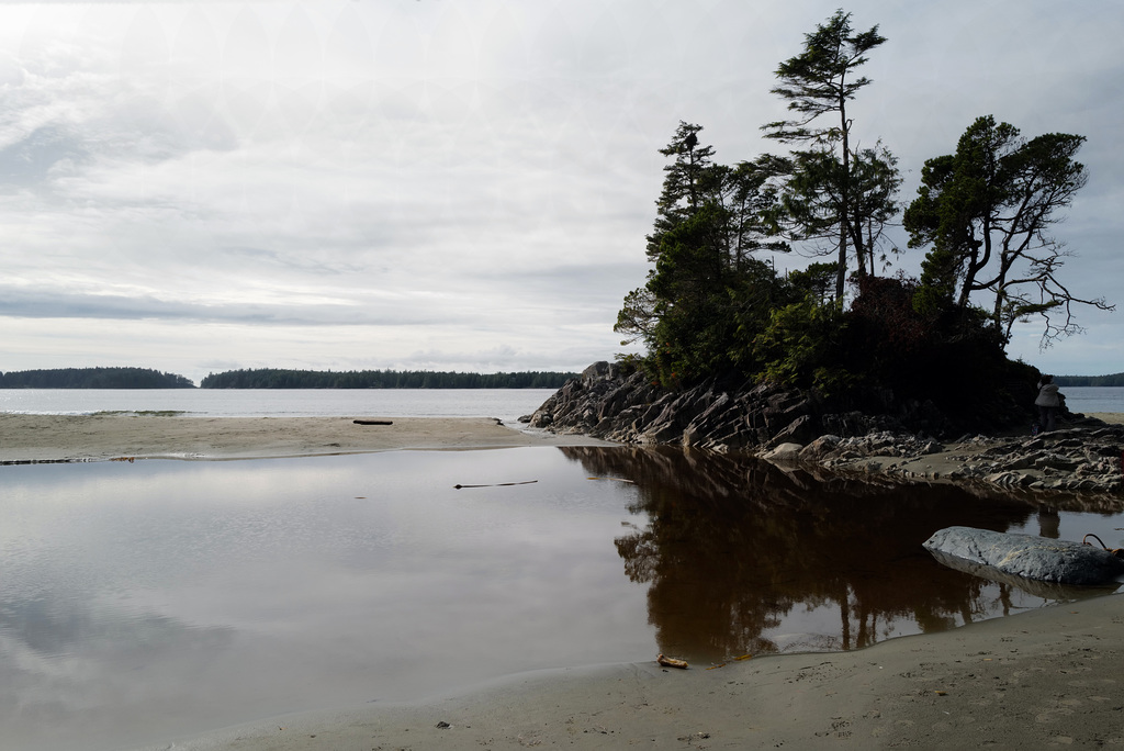 Tonquin Beach L1020133