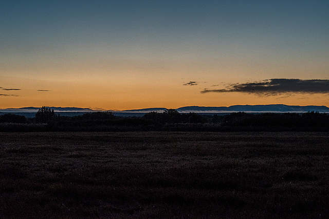 Bosque Del Apache at dawn1