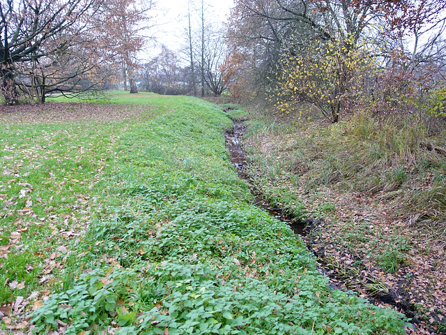 bachlauf-06913