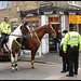 Oxford mounted police