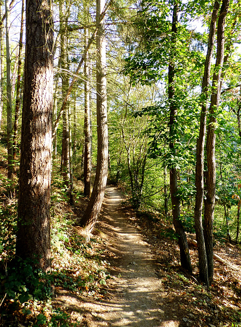 DE - Altenahr - Wanderung