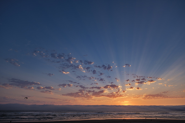 Crepuscular Rays of Sunset