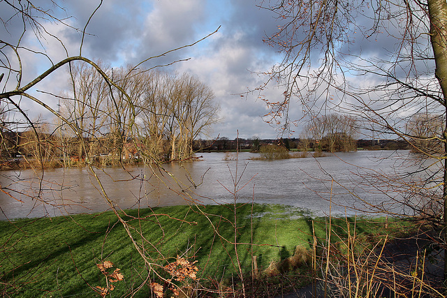 Überflutete Lippeauen (Haltern am See) / 26.12.2023