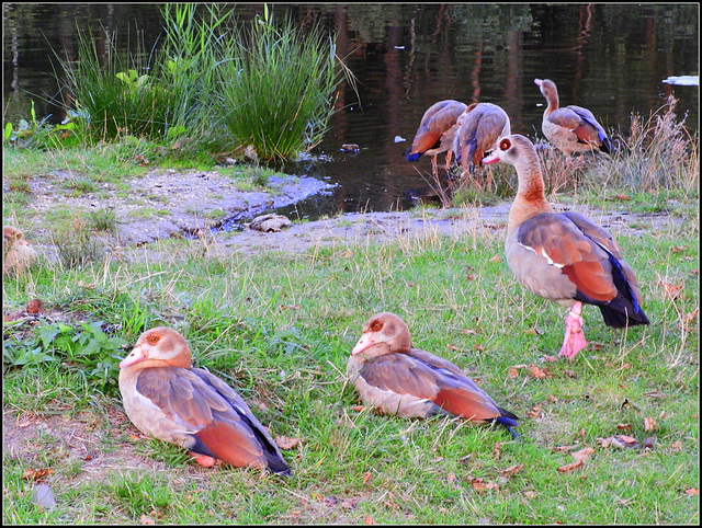 We gather for the  trip to egypt