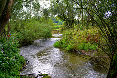 Dutch Mountain creek