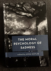 THE MORAL PSYCHOLOGY OF SADNESS