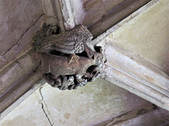 lacock abbey, wilts (146) hawk and rabbit, c15 cloister vaulting boss