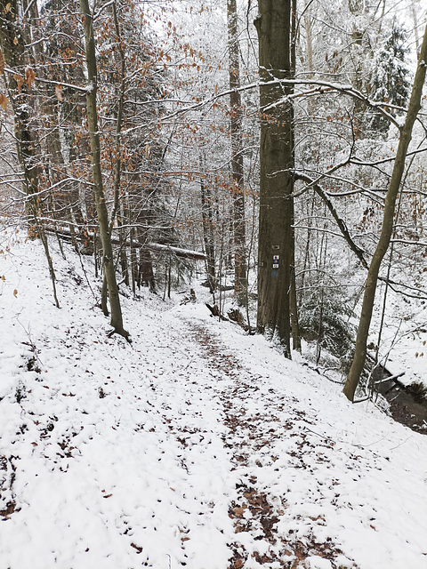 Fränkischer Jakobsweg: Kalchreuth - Nürnberg