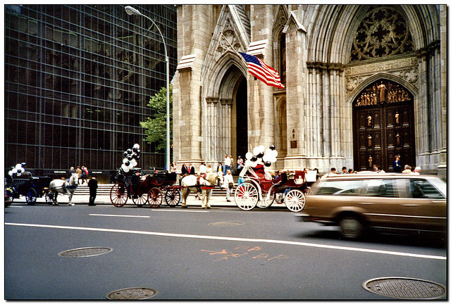 New York | St. Patrik's Cathedral