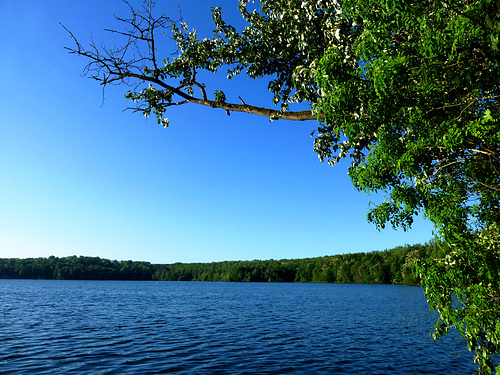 DE - Erftstadt - Liblarer See