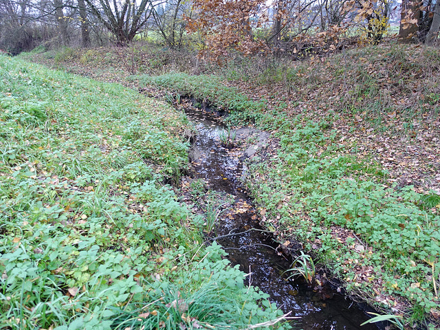 bachlauf-06914