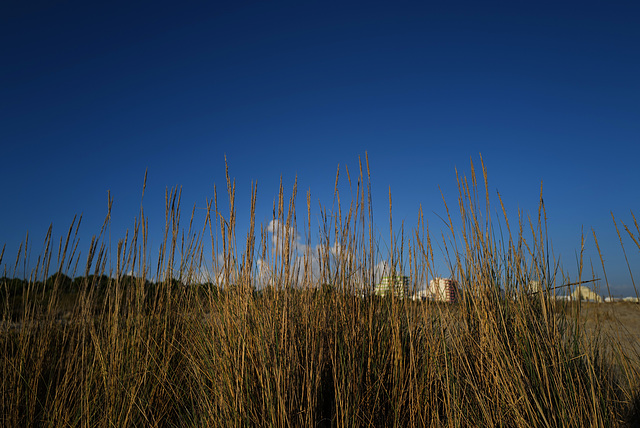 Monte gordo behind the dunes