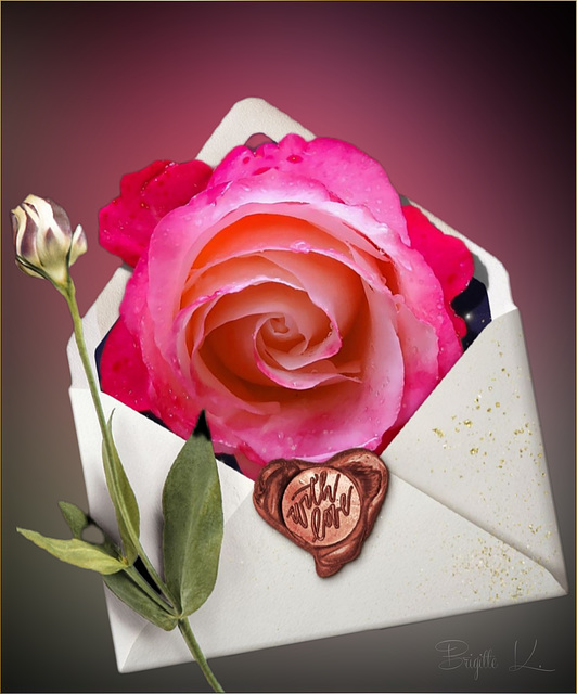 say it with roses  ❤