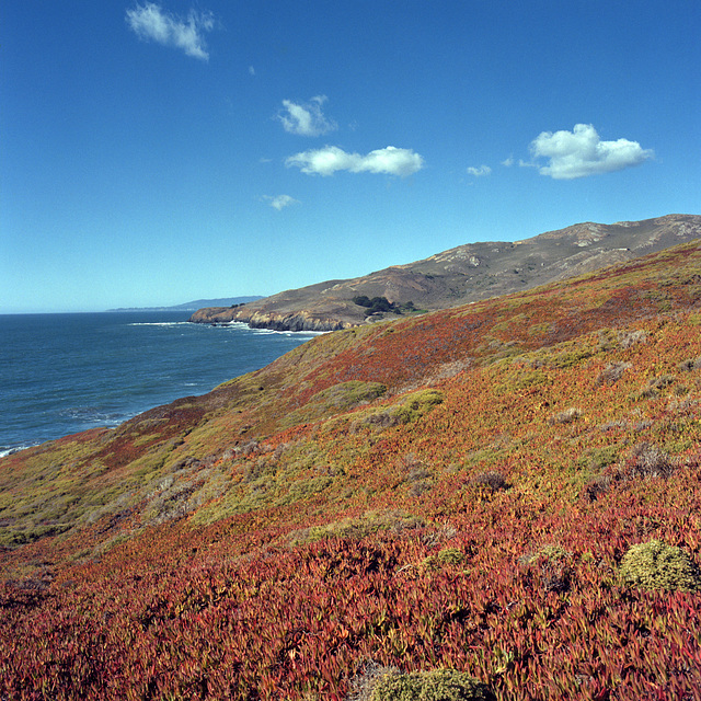 Coastal Autumn