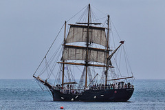 Pelican of London in Weymouth Bay