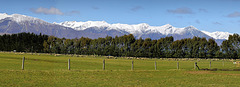 Wanaka  NZ