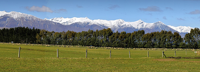 Wanaka  NZ