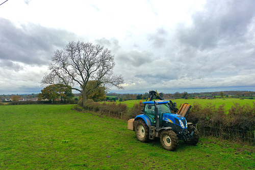 Hedge cutting time