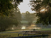 Misty morning