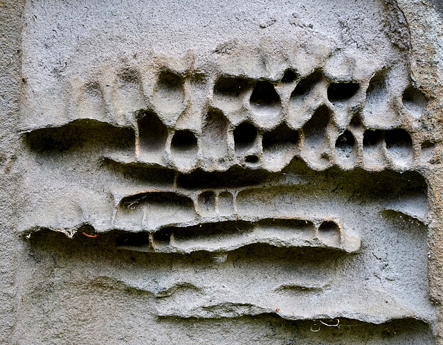 Weathered and worn in life and death. Details from a Gravestone