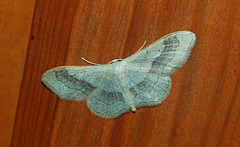 DSC 0359a
