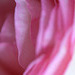 DSCF5897